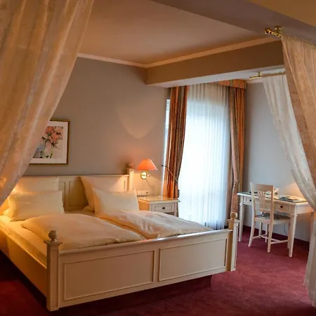 Schloss-hotel Petry 4*