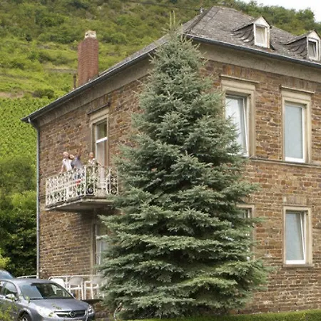 Schloss-hotel Petry 4*
