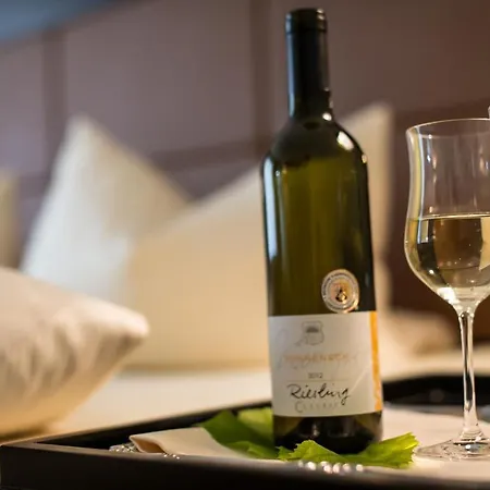 Hotel Schloss-hotel Petry 4*