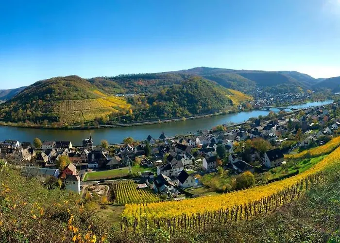 Schloss-hotel Petry Hotel Treis-Karden