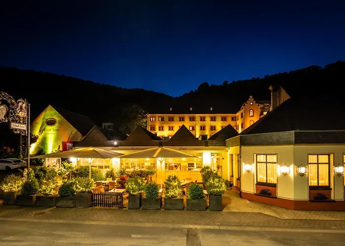 Schloss-hotel Petry 4*