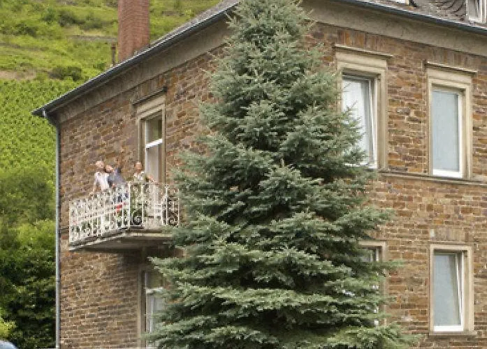 Schloss-hotel Petry 4*