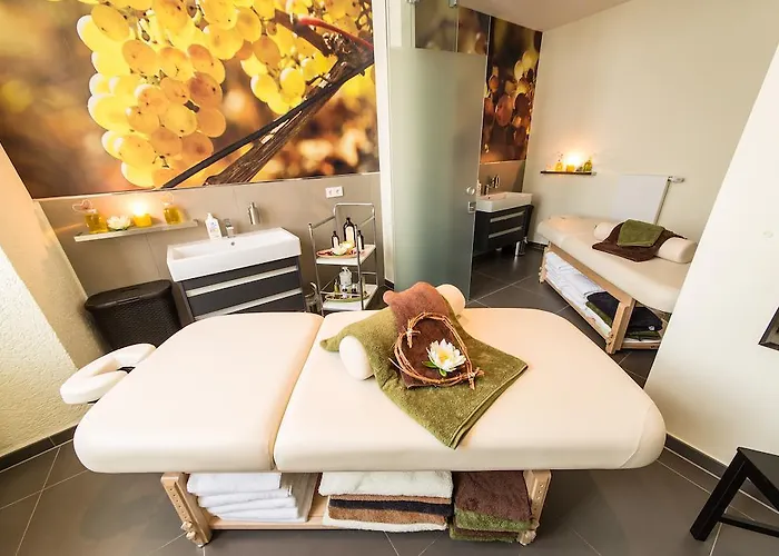 Schloss-hotel Petry Hotel Treis-Karden