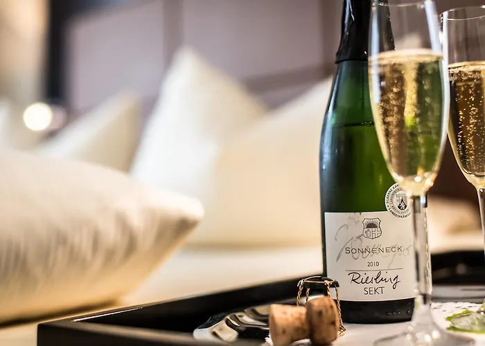 Schloss-hotel Petry Treis-Karden